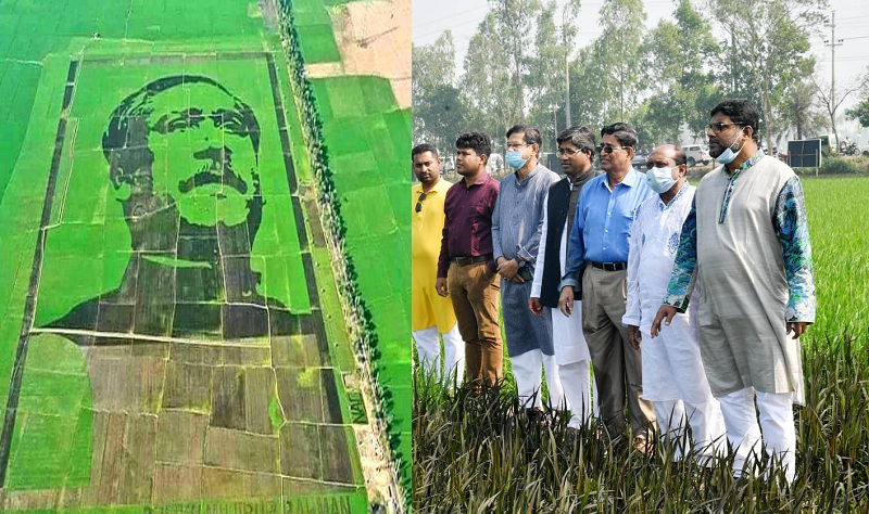 শস্যচিত্রে বঙ্গবন্ধু’ বিশ্বের সর্ববৃহৎ শস্যচিত্র : কৃষিমন্ত্রী