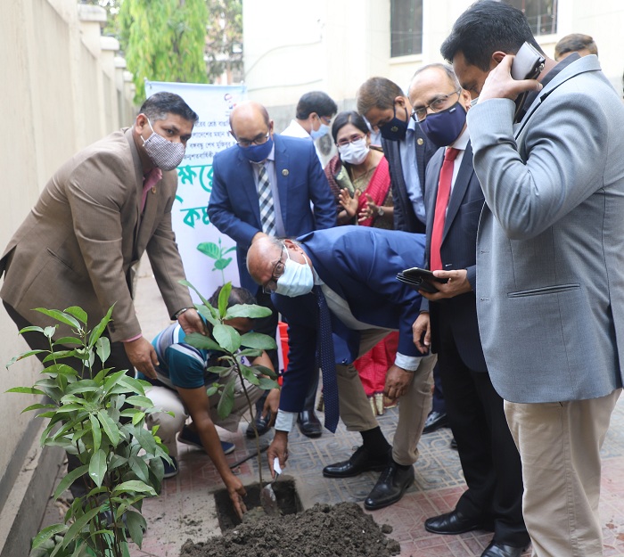 সোনালী ব্যাংকের বৃক্ষরোপন কর্মসূচী