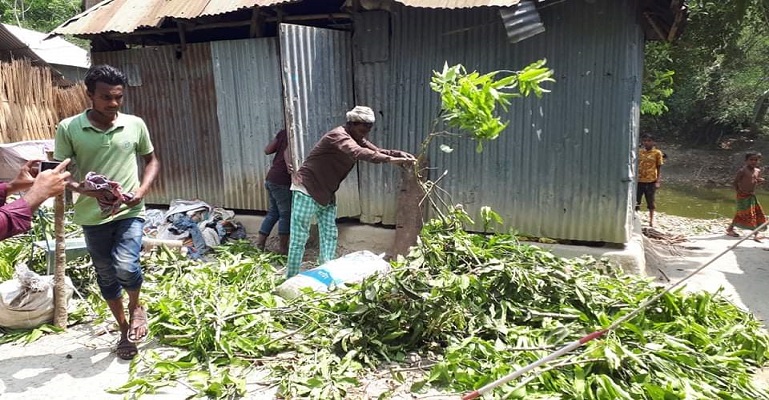 হত্যা মামলার আসামিরা বাড়ি ছাড়া, সুযোগে চলছে লুট!