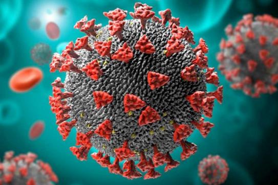 দিনাজপুরে আবারো করোনায় প্রকোপ বৃদ্ধি, টিকা গ্রহণ ৯৮৪৬২ জনের