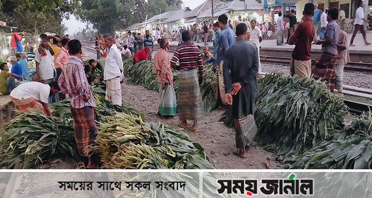 ভুট্টা পাতার হাট