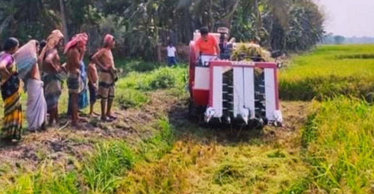 ফরিদপুরে কৃষকের ধান কেটে দিল ‘শেখ রাসেল পরিষদের’ নেতা-কর্মীরা