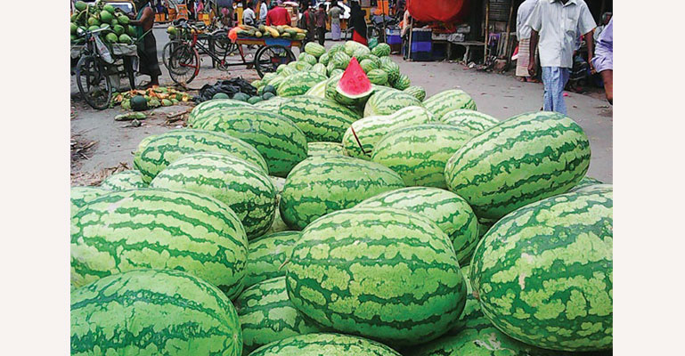 কেজি দরে তরমুজ কিনা বন্ধ করুন!