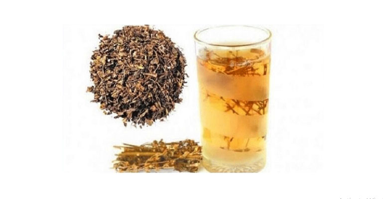 রোগ প্রতিরোধে চিরতার উপকারিতা