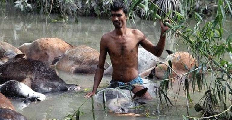 ভয়াল ২৯ এপ্রিল আজ