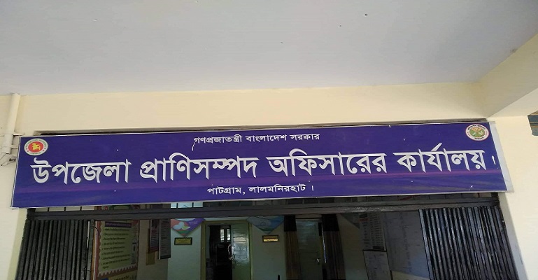 আজব বিল ভাউচার: এক গরু পুষতে প্রতিদিন ব্যয় ৪৪৩ টাকা
