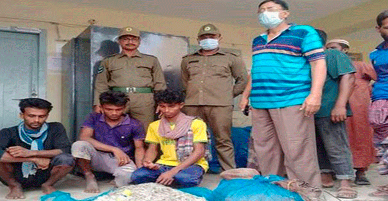 সুন্দরবনে বিষ প্রয়োগ করে মাছ শিকার, আটক ৩