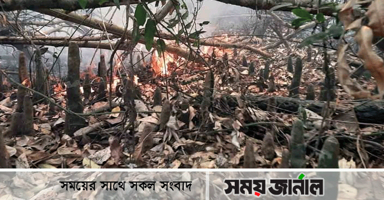 তিন মাসের ব্যবধানে ফের সুন্দরবনে আগুন