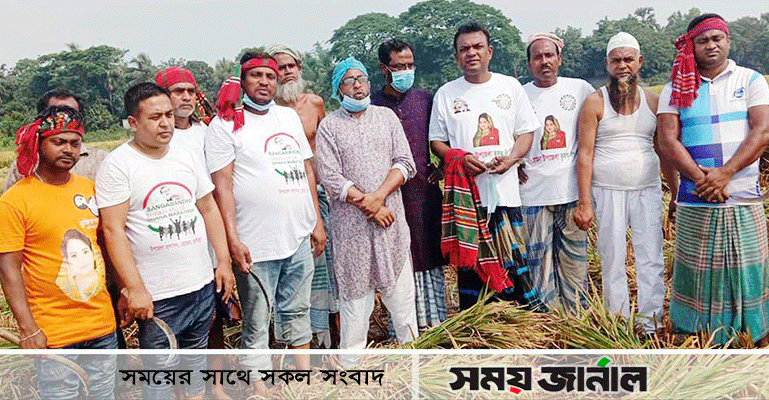 হোমনায় কৃষকের ধান কেটে মাড়াই করে দিল কৃষক লীগ নেতাকর্মীরা