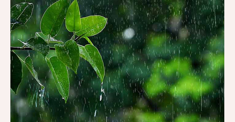 সপ্তাহজুড়ে বৃষ্টিপাতের আভাস