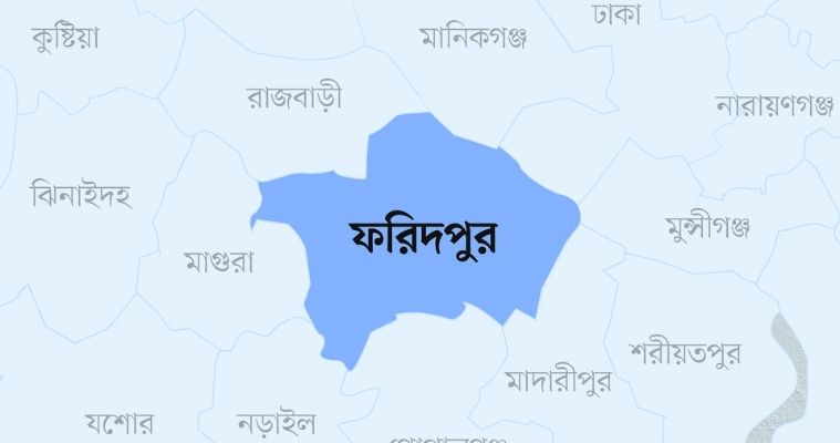 ফরিদপুরে নসিমন উল্টে মাছ ব্যবসায়ী নিহত