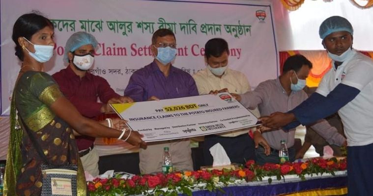 শস্য বীমার ক্ষতিপূরণ পেয়ে ঠাকুরগাঁওয়ে আলু চাষিদের মুখে হাসি