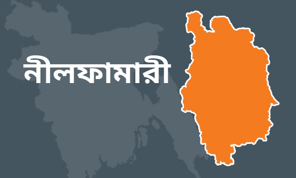 নীলফামারীতে ধানের বীজতলায় হাঁস নামায় মারধর