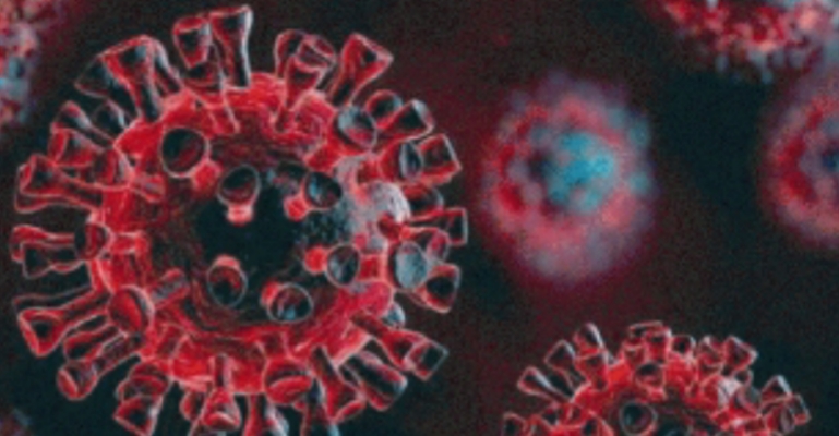 কুড়িগ্রামে পৌর এলাকায় ৭ দিনের লকডাউন