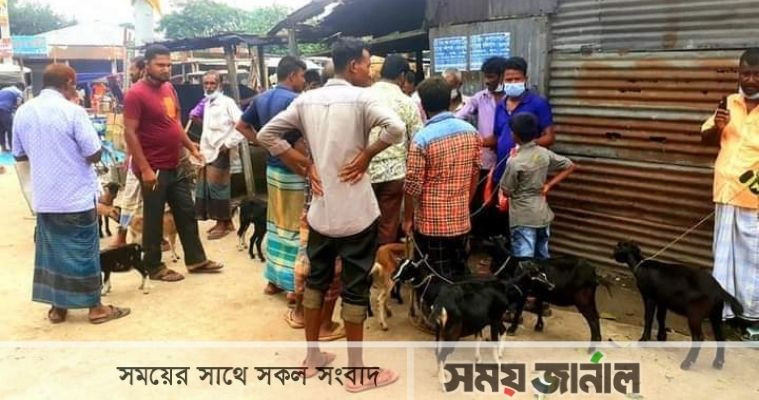 ঠাকুরগাঁওয়ে কঠোর লকডাউনে বসলো ছাগলের হাট!