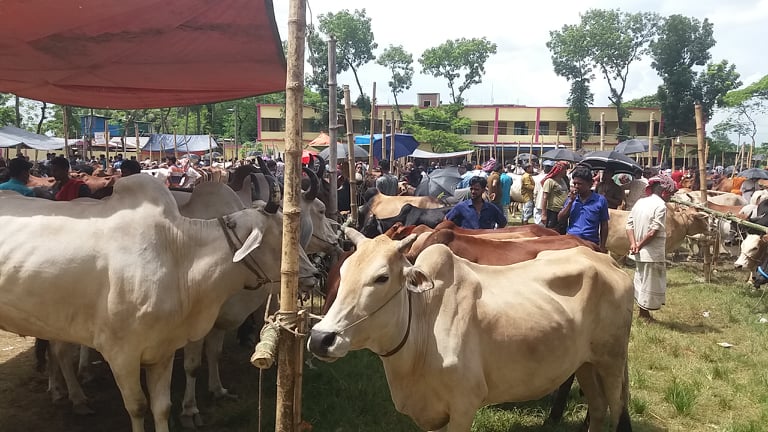 লক্ষ্মীপুরে স্কুল মাঠে অবৈধভাবে হাট বাসিয়েছে ক্ষমতাসীন দলের নেতারা