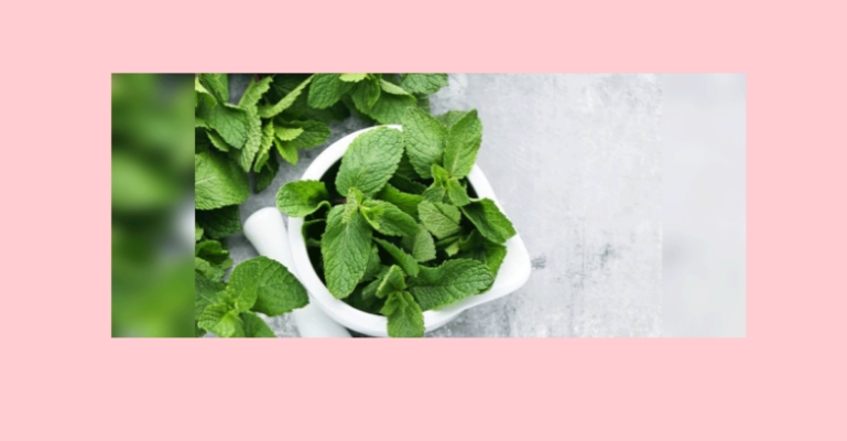 ব্রণের সমস্যা কমায় পুদিনা পাতা