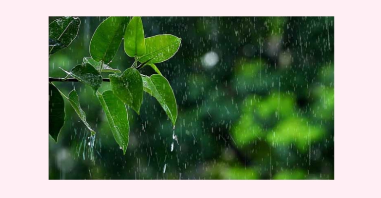 দেশের বিভিন্ন স্থানে মাঝারি বৃষ্টির পূর্বাভাস