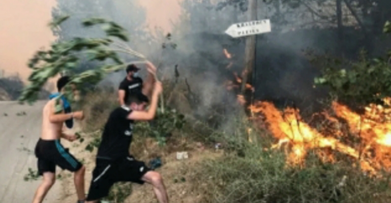 আলজেরিয়ায় দাবানলে ২৫ সৈন্যসহ নিহত ৪২