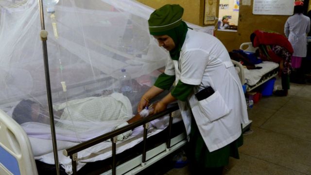 জানুয়ারি থেকে এ পর্যন্ত ডেঙ্গু আক্রান্ত ৫৪৩৪ জন