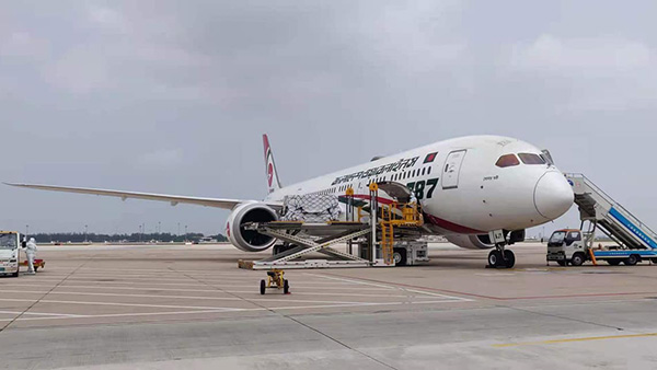 চীন থেকে এলো উপহারের আরো ১০ লাখ ডোজ টিকা