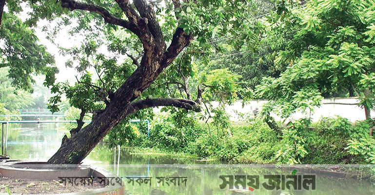 বঙ্গবন্ধুর স্মৃতিতে টুঙ্গিপাড়ার বাঘিয়ার খাল ও হিজল গাছ