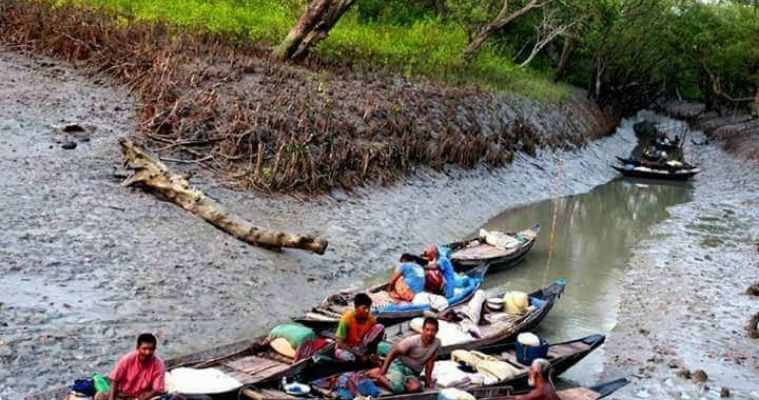 সাতক্ষীরায় বিএলসি নবায়নে দালালের তৎপরতা, বনজীবীদের কাছ থেকে অতিরিক্ত অর্থ আদায়