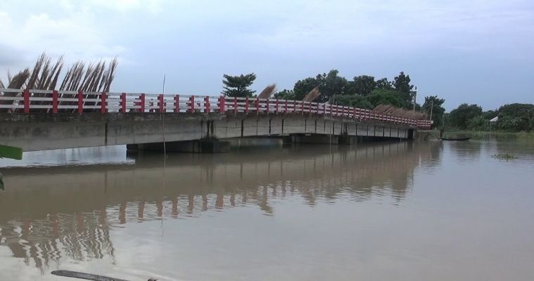 ফরিদপুরে পদ্মার পানি বিপদসীমার ১৫ সে.মি উপর দিয়ে প্রবাহিত হচ্ছে