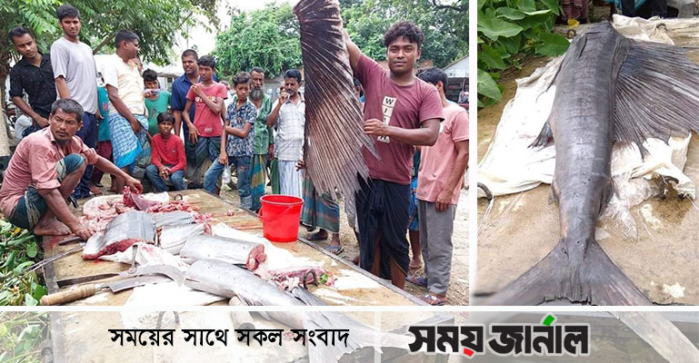 জেলের জালে ৪৬ কেজির গাং চ্যালা