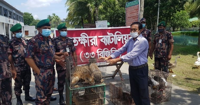 সাতক্ষীরায় পাচারকালে উদ্ধারকৃত ৯টি বন্যপ্রাণী বনবিভাগের কাছে হস্তান্তর করলো বিজিবি