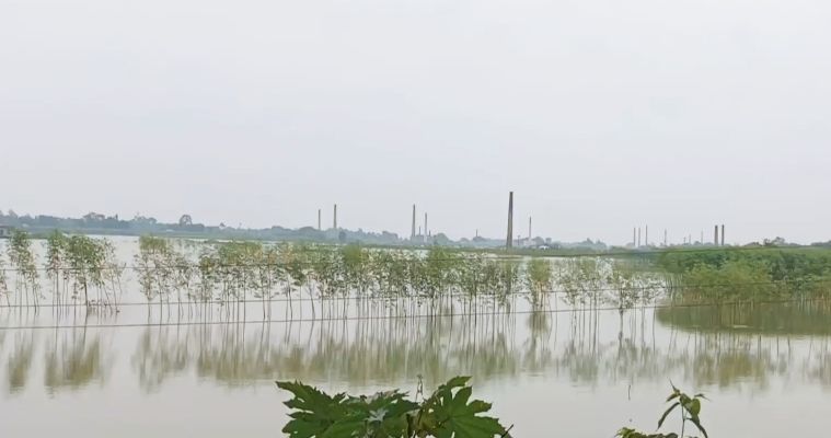 ফরিদপুরে পদ্মার পানি কমতে শুরু করেছে