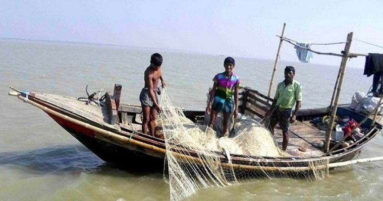 বাগেরহাটে ভরা মৌসুমেও জেলেদের জালে ইলিশের আকাল, হতাশায় জেলেরা