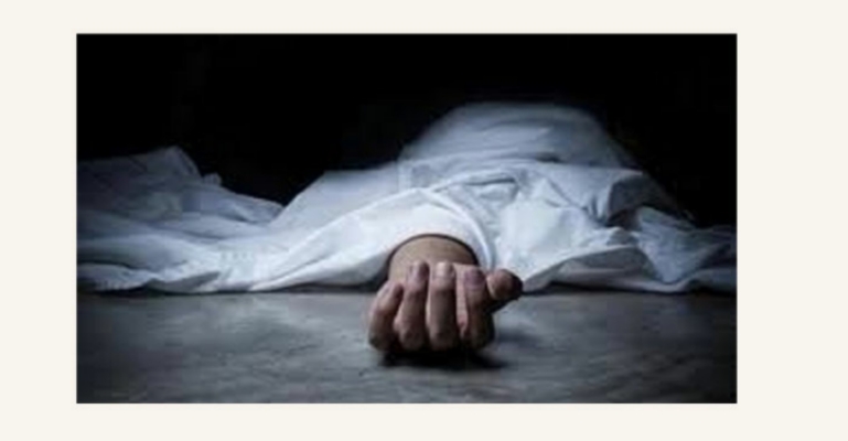 ঠাকুরগাঁওয়ে সাপের কামড়ে ২ নারীর মৃত্যু