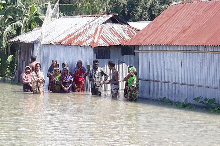 আবারও পানি বৃদ্ধি: কুড়িগ্রামে ২ শতাধিক চরের মানুষ পানিবন্দি