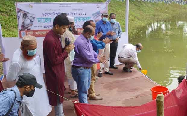 ২৩ তম বিশ্ববিদ্যালয় দিবসে সুখবর দিলেন হাবিপ্রবির ভিসি