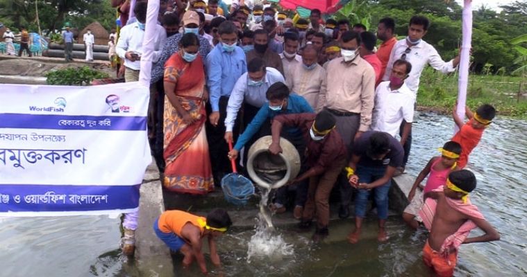 গোপালগঞ্জে তৃতীয় প্রজন্মের রুই পোনা অবমুক্ত