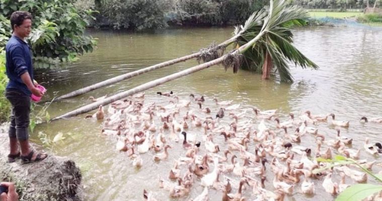 অর্থনৈতিক অংশগ্রহণের সুযোগ ও শোভন কাজে যুবদের অগ্রাধিকারেই কমবে বেকারত্ব