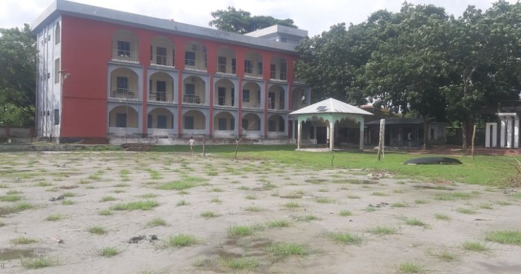 বিদ্যালয়ের মাঠ থেকে রাতের অন্ধকারে তুলে নেয়া হলো কলাগাছ