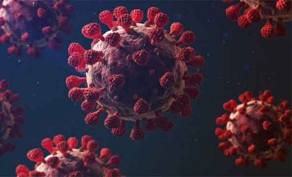 করোনায় আরও ২৫ জনের মৃত্যু, শনাক্ত ৮১৮