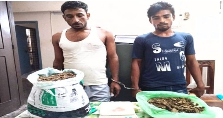 ফরিদপুরে গাঁজাসহ দুই মাদক ব্যবসায়ী আটক