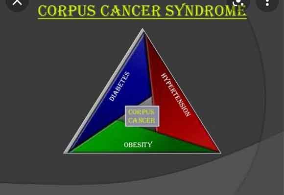 স্থুলতা কি ক্যান্সারের ঝুঁকি বাড়ায়?