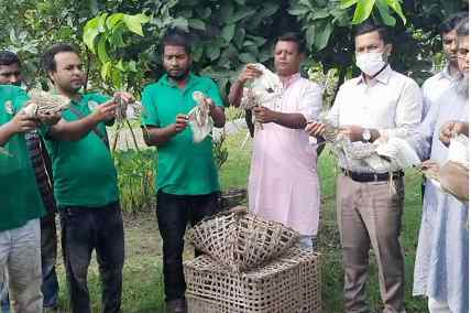 সিংড়ার চলনবিলে পাখি অবমুক্ত ও ৬ শিকারীকে জরিমানা
