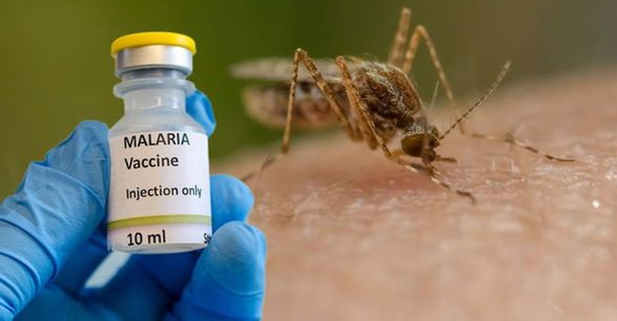 বি‌শ্বে প্রথম ম্যা‌লে‌রিয়া টিকার অনু‌মোদন