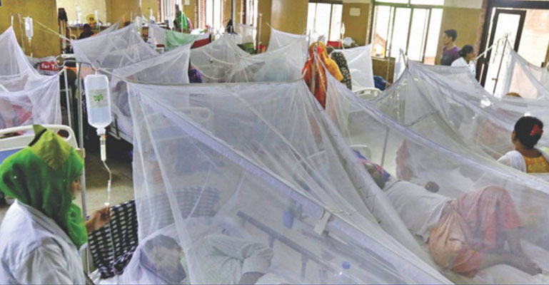 ডেঙ্গুতে হাসপাতালে আরও ভর্তি ২১১, মৃত্যু ৩