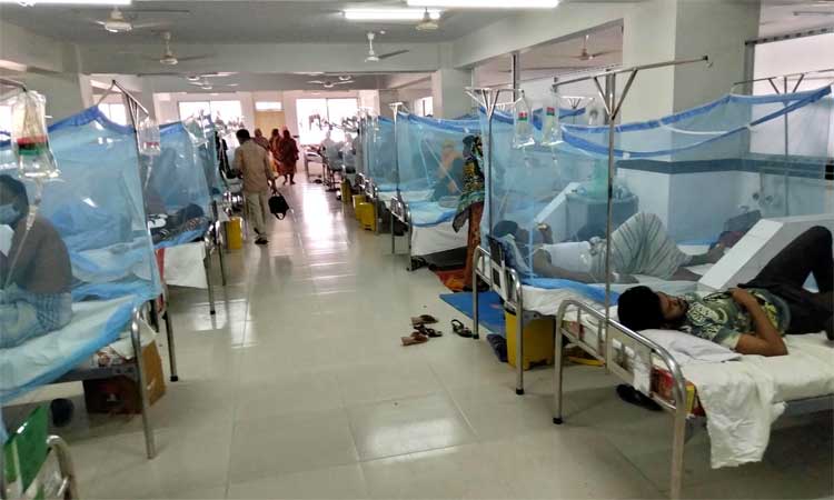 ডেঙ্গুতে আক্রান্ত হয়ে আরও ১৮৩ জন হাসপাতালে