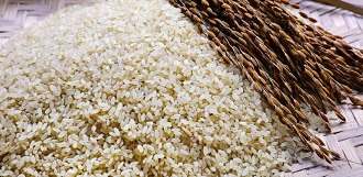 সারাদেশে পালিত হচ্ছে বিশ্ব খাদ্য দিবস