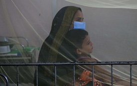 আরও ১৮৩ ডেঙ্গু রোগী হাসপাতালে ভর্তি