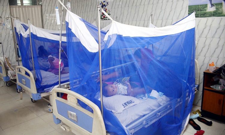 ডেঙ্গু আক্রান্ত হয়ে আরও ১৫১ জন হাসপাতালে