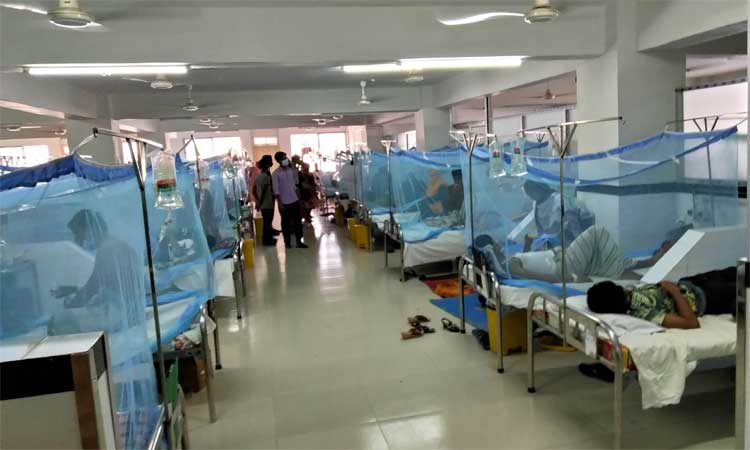 একদিনে হাসপাতালে ভর্তি ১২৩ ডেঙ্গু রোগী