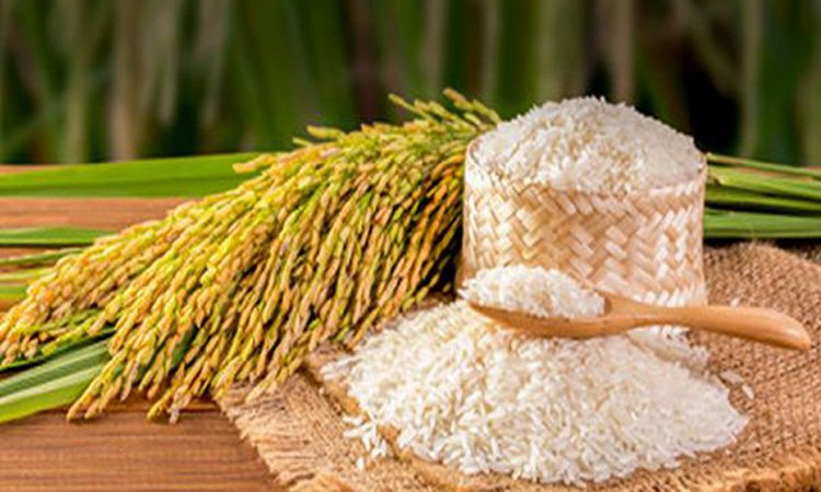 ২৭ টাকা কেজিতে ধান ও ৪০ টাকায় চাল কিনবে সরকার